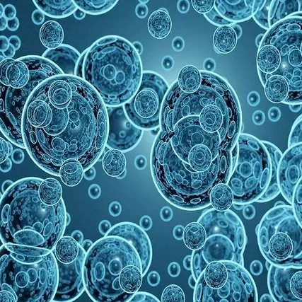 سونوگرافی تشخیص سرطان
