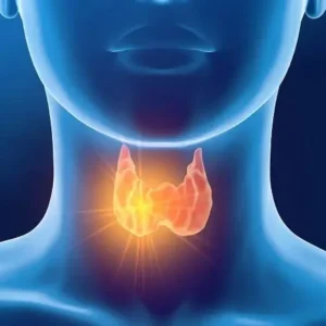 ساختار غدد تیروئید
