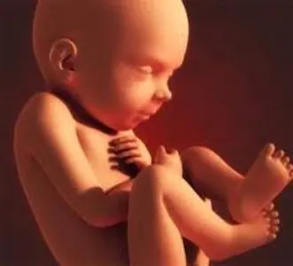 سونوگرافی 10 هفته اول ممنوع